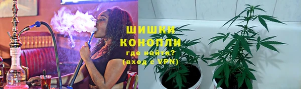 шишки Балахна