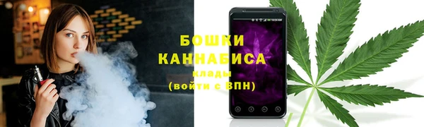 прущие грибы Баксан
