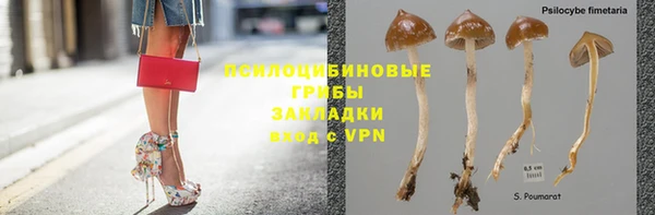 шишки Балахна
