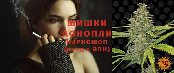 прущие грибы Баксан
