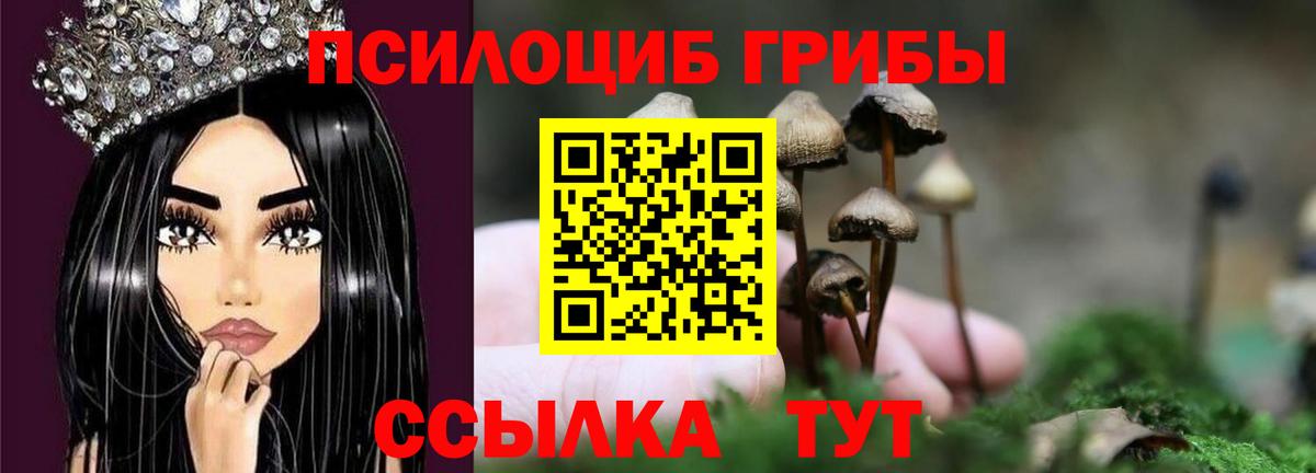 Псилоцибиновые грибы прущие грибы Кунгур